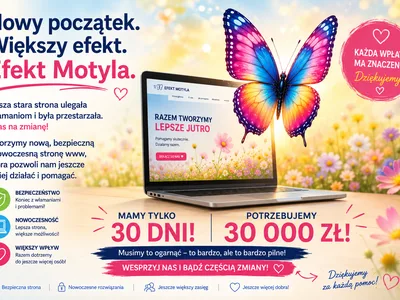 Ratujemy stronę Fundacji Efekt Motyla
