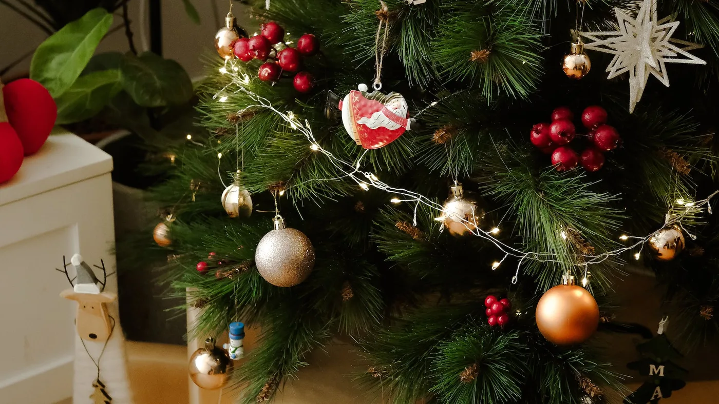A nadzieja znów wstąpi w nas....